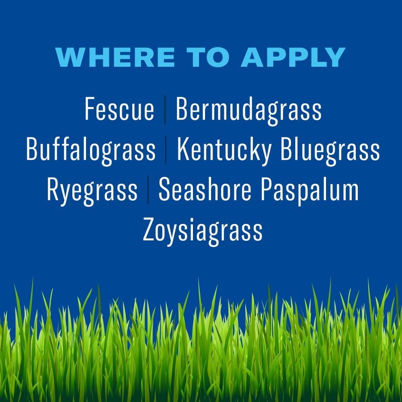 BioAdvanced 5 In 1 Weed and Feed, Granules, 24LB