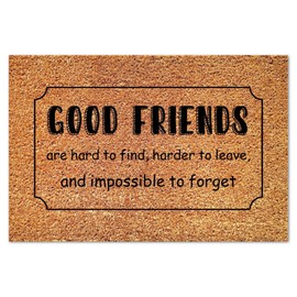 DecStic Good Friends are Hard to Find Coir Doormat Natural Fibers Non Slip Inspirational Quotes Coir Fiber Doormat Rustic Front Door Mat for Front Outdoor Indoor Home Entrance 16x24in