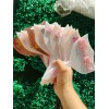 Paleta Para Lashista Personalizable