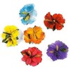 Super Z Outlet Hula Girl Hibiscus Color Assorted Flower Island Theme Hair Clips Event Decoration Supplies (12 Pack)