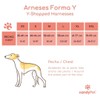 Reflective Y Shaped Dog Harness Ideal for Lebreles: Italian Greyhound