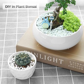 KAIAIWLUO Natural White Pebbles,500G Mini Assorted Pebble Stones Pebble Decorative Landscape Rock DIY Polished Rocks for Aquariums Landscaping Vase Fillers Succulent Garden