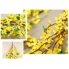 19.68Inch Artificial Forsythia Wreath for Front Door Wreaths Wildflower Summer