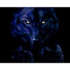 CafePress Midnight Wolf Sticker Square Bumper Sticker Car Decal