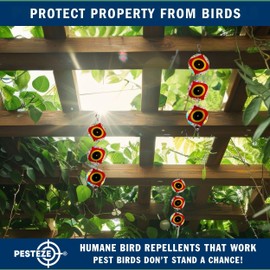 PESTEZE 3 Pack Set of 3 Holographic Shiny Circles with Scare Eyes & Bell [3 x 15 inch] Reflection Scares Pest Birds Like Woodpeckers, Sparrows, Pigeons, Crows, Gulls & Critters Without Harming Them