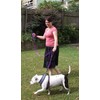 Primal Pet Gear Dog Leash 6ft Long,Traffic Padded Two Handle,Heavy