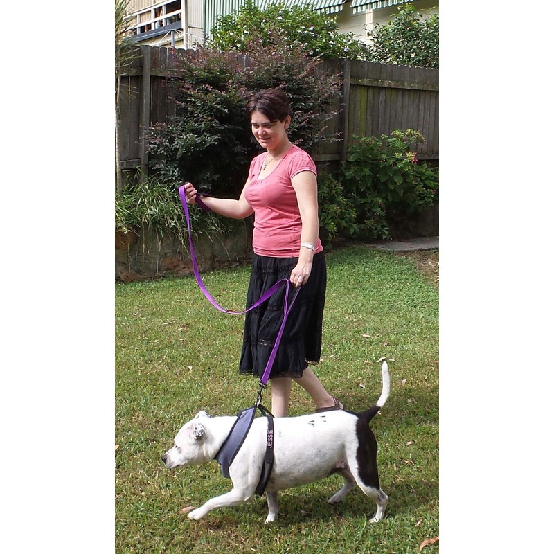 Primal Pet Gear Dog Leash 6ft Long,Traffic Padded Two Handle,Heavy