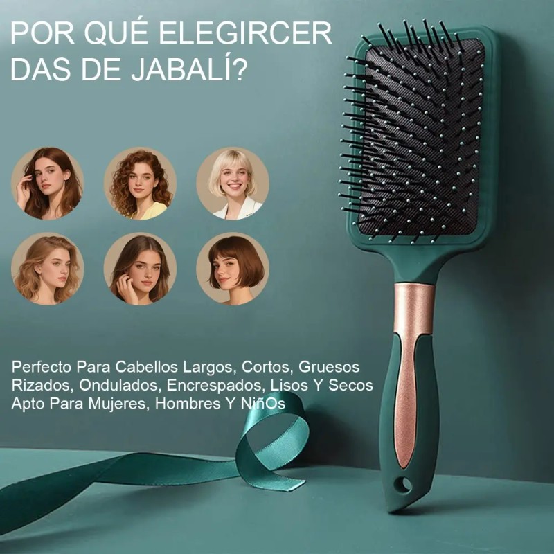 6 Piezas Herramientas De Peluquería Peine Redondo Para Peluq