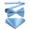 HISDERN Bow Tie Pre-Tied Men's Bow Tie with Pocket Square