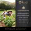 Bodi Polvo Extracto Raíz Maca 20:1 Natural 4 Oz