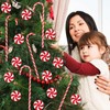 GuassLee 60Pcs Candy Canes Christmas Tree Decorations-Plastic Peppermint Candy Cane