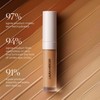 Real Flawless Weightless Perfecting Concealer - 3W1 Ligh to Medium