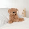 Hampton the Plush Teddy Bear – 35 cm Soft Stuffed