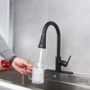 Kohonby Single Handle Kitchen Faucet with Pull Down Sprayer Modern