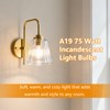 YXQZH 75 Watt Incandescent Bulbs, A19 E26 Base Warm White,