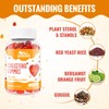 ChiQwench Cholesterol Supplements with 1500 Mg Plant Sterols & Stanols,