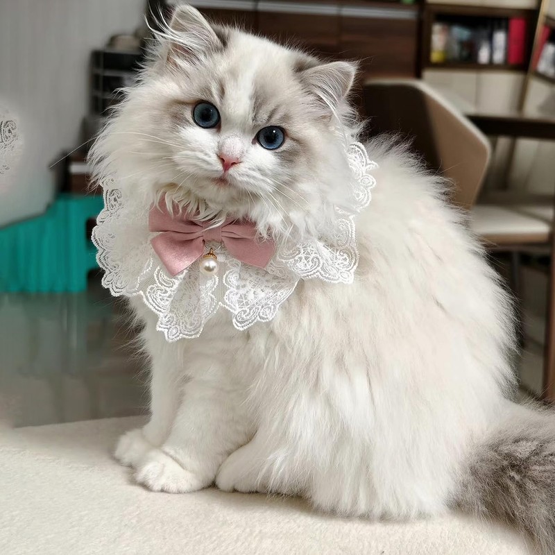 Hjvvr Cat Collar,Pink Cat Bib with Bow,Adjustable Lace Bib Scarf