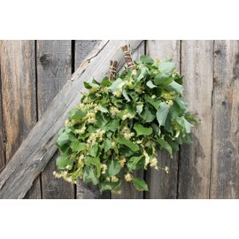 Linden Organic Sauna Whisk Venik