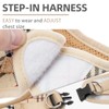 PUPTECK Adjustable Dog Harness Collar and Leash Set Step in