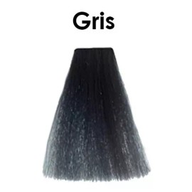 Silky Tinte Profesional 100 Ml Silky Gris