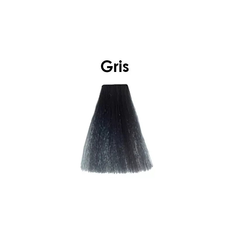Silky Tinte Profesional 100 Ml Silky Gris
