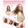 SLEEKALON Clip in Hair Extensions Real Human Hair Remy #1B