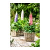 Dehner Rattan Planter, Approx. 30 x 15 x 15 cm,