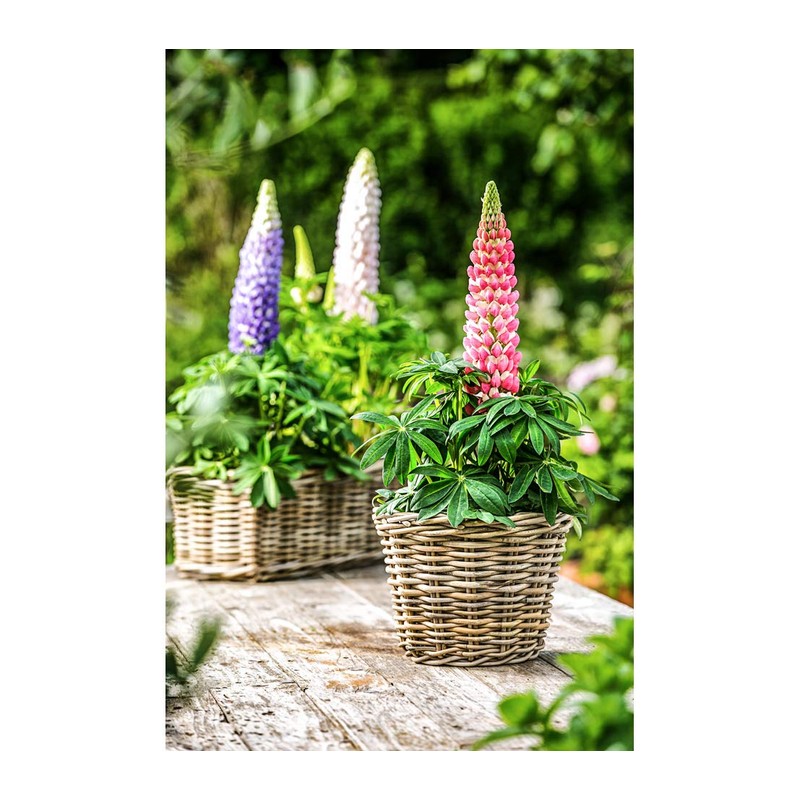 Dehner Rattan Planter, Approx. 30 x 15 x 15 cm,