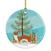 Caroline's Treasures Weasel Christmas Ceramic Christmas Ornament Multi Color, 3