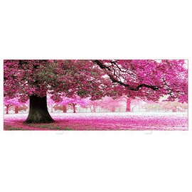 R-STYLE Cross Stitch Embroidery Kit with Embroidery Tool Set (Cherry Blossom, Pattern)