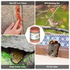 Witvalism Copper Mesh Rodent Control, 5in x 32ft Premium Copper