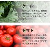 Lipsa Lycopene Green Juice, Approx. 3 months worth x 2