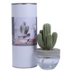 Pretty Valley Home Reed Diffuser Set Ceramic Cactus Fragrance Diffuser-White