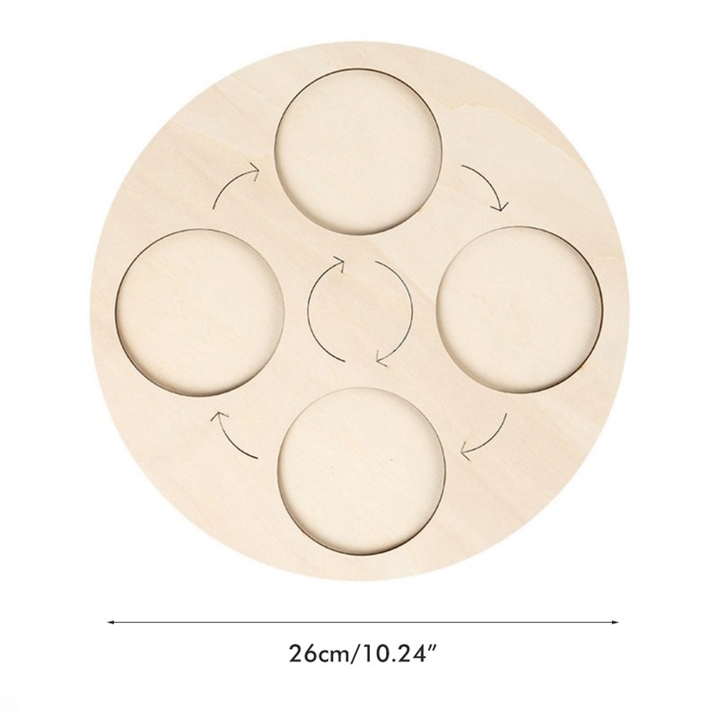 Insects Life Cycle Kit Stages of Insect with Wooden Tray