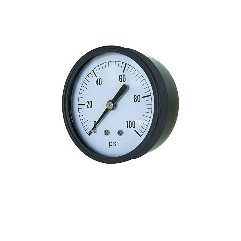 Valley Industries CS-1224DAB100 2" Back Mount Dry Pressure Gauge-100 PSI,