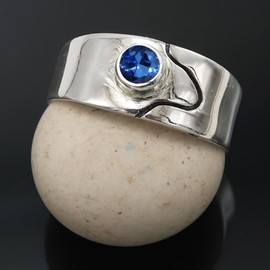 JEWELSTREZORO Blue Sapphire Lab Grown Gemstone Band Ring Sterling Silver Band Ring Men And Women Band Ring All Size Jewelry TSR1081AO_28 (V 1/2)