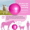 RideFound 40 Inch Horse Play Balls, Herding Ball for Horse
