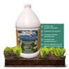 Medina Liquid Fish Blend Quart - 2-3-2 Fertilizer for GRO,