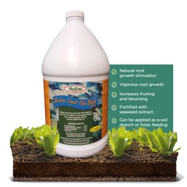 Medina Liquid Fish Blend Quart - 2-3-2 Fertilizer for GRO, Bloom, and Lush Gardens - Seaweed Enriched Plant Food for Vibrant Growth and Blooms - Available in 1 Gallon