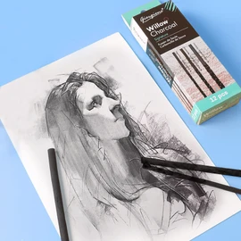 DanYun Set of 12 Charcoal Sticks, Charcoal, Drawing Charcoal, Painting, Sketching, Charcoal Brush, No Smudge Hands, Charcoal for Drawing, Art Supplies, Drawing Tools, 0.3 inch (8 mm), 5 mm, 4 mm