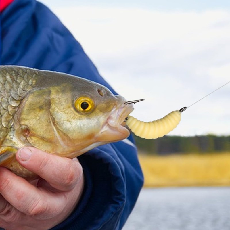 FUNANASUN 30 pcs Würmer zum Angeln, Künstliche Köder Würmer Fisch