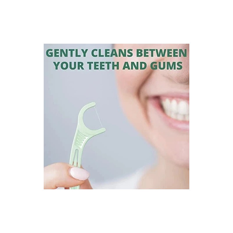 Plackers Micro Mint Dental Floss Picks with Travel Case 12