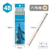Tombow KB-KHNDL4B Hello Nature Pencils, Dolphin, 4B, 1 Dozen