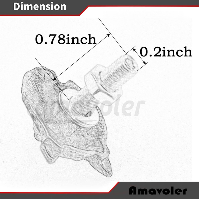 License Plate Bolts, 4 pcs Universal Wolf Style Stainless Steel