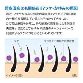 Medikik H Medicik H Prevents Dandruff and Itching, Scalp Environment Improvement, Medical Shampoo Refill, 9.5 fl oz (280 ml) (x 1)