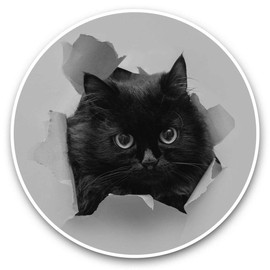 Vinyl Stickers (Set of 2) 7.5cm (bw) - Funny Black Cat Kitten Laptop Tablet Luggage Scrapbook #43895