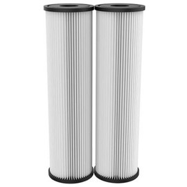 OMNIFilter Pack of 2 Potable Water Filter Cartridges 10 x 2.5 Pleated Sediment Filters