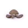 Papo 56005 "Loggerhead Turle" Figure
