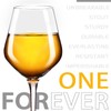 Plastic Wine Glasses Set of 2(15oz) |Unbreakable Wine Glasses with