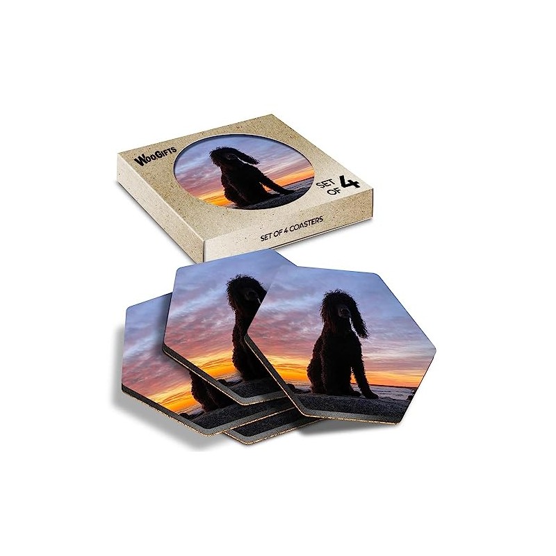 4 x Hexagon Coasters - Beautiful Irish Water Spaniel Dog